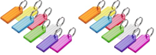 Lucky Line Key Tag with Split Ring; 100 Per Box; Assorted Colors (10400)