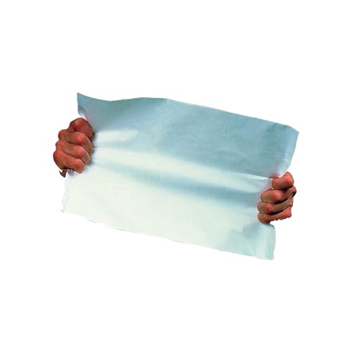 Survivor R1530 Tyvek Open-End Envelope,1st Class,9-1/2-Inch x12-1/2-Inch,100/BX,WE
