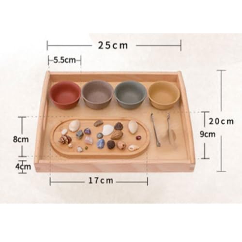 lstyty Montessori Natural Object Sorting Tray Set