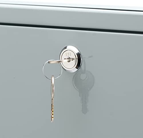 Barska Wall Mount Multi-Purpose Locking Mail Suggestion Drop Box with Key Lock for Home Office Classroom