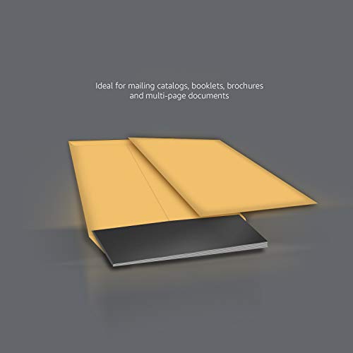 Amazon Basics Catalog Self Seal Mailing Envelopes for Documents, Peel and Seal, 9" x 12", Brown Kraft, 250-Pack