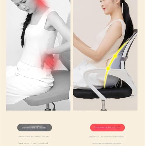 EZLQGBWKPDT Ergonomic lumbar support cushion | | Comfortable seat pillow for relieving back pain | Suitable for offices, cars, travel, sofas, home and workplace