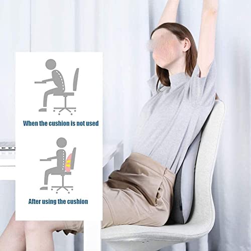 GIENEX Lumbar Support Pillow for Office Chair, Back Support Pillow, Fits The Waist Curve Memory Foam Back Cushion, Ergonomic Back Support Pillow for Car Seat, Wheelchair