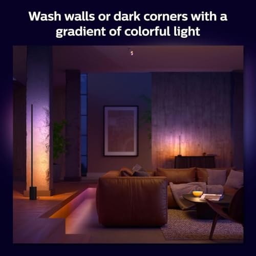 Philips Hue Signe Smart Color Changing Floor Lamp, 1-Pack, Black