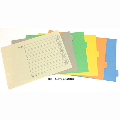 King Jim King files SDDE A4E blue A4E 2488A blue (japan import)