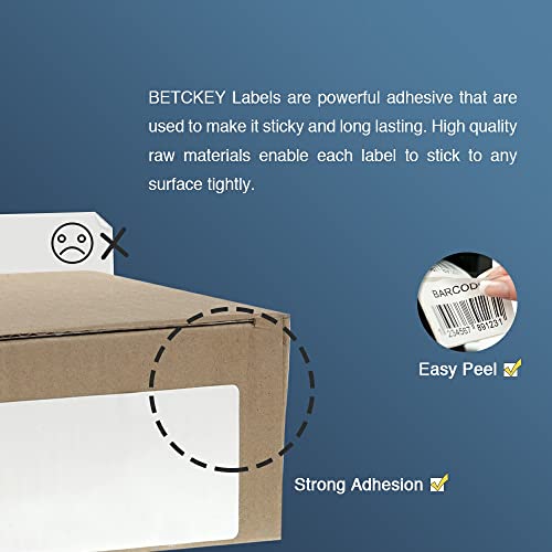 BETCKEY Replace for Brother DK-2243 (4 in x 100 ft) Labels[10Roll/2Holder]