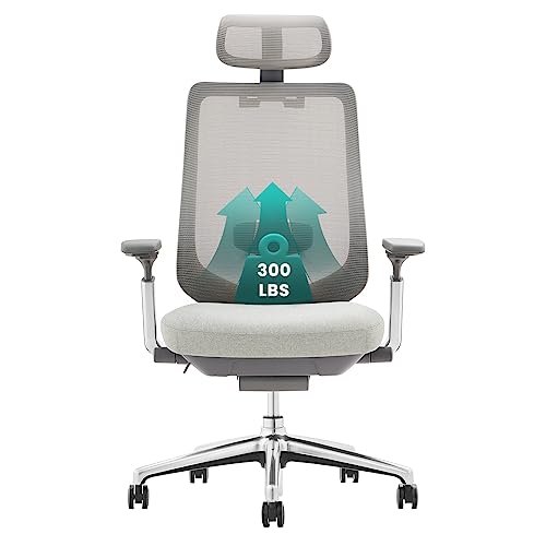 MALOL Ergonomic Mesh Office Chair, High Back Computer Executive Desk Chair with Adjustable Headrest and 4D Arms, Slide Seat, Tilt Lock-Light Grey