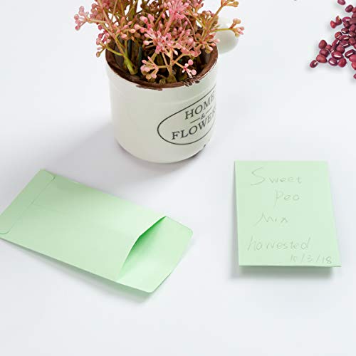 1000 Pieces Colorful Small Coin Envelopes for Seed, 2.25×3.5 inch