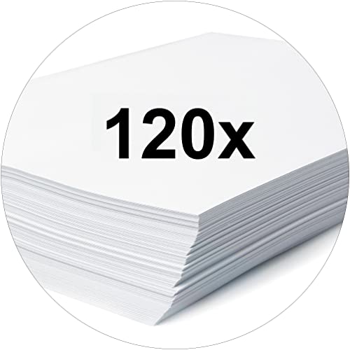 Exacompta - Ref 80003965003F - FALKEN - Flat Far Strip File - 1/4 Cover, Suitable for Holding A4 Documents Together, 250gsm Manilla, Metal Cover Rail & Eyelets - Grey (Pack of 200)