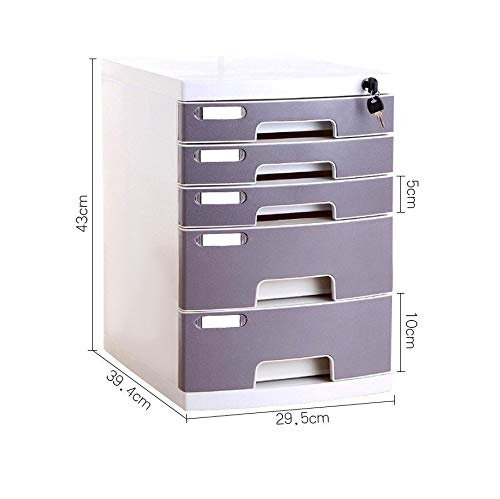 SDVantage Flat File Cabinets, Lockable Drawer-Type Information Cabinet Office A4 Storage, with 5 Drawers Grey (Large 5)