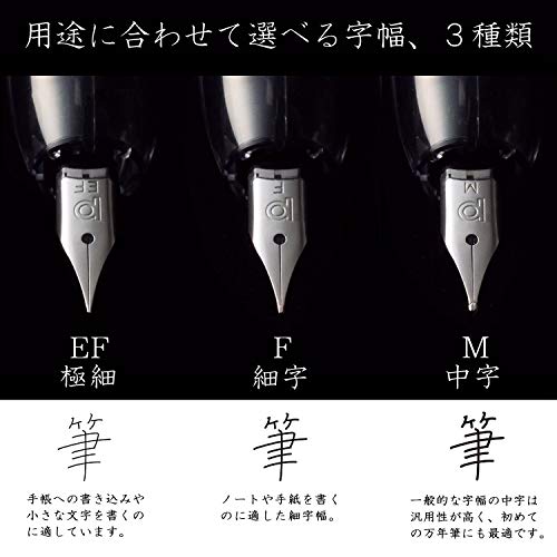 Platinum Fountain Pen, Curidus, Graphite Smoke, Medium Point, PKN-7000#7-3