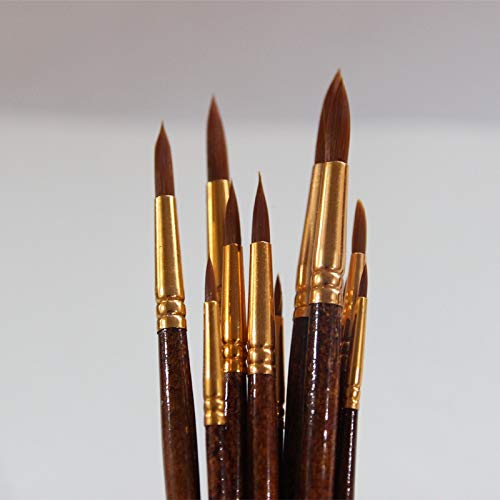 HBJWOV 12 pcs/Set Nylon Hair Watercolor Paint Brushes Different Shape Round Plain Tip Gouache Painting Brush Set Art Supplies(Pointed)
