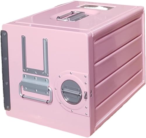 LILIUPEILONG Filing Cabinet with 2 Drawers and Aviation Aluminum Case, Suitable for Home Office(Pink)