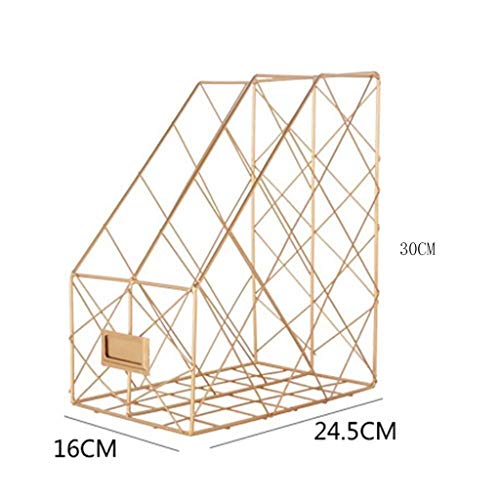 GVRMLDF File Sorter and Magazine Desk Organizer,Metal Holder for Home Office School Pack