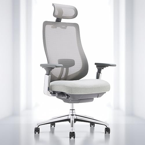 COLAMY Ergonomic Mesh Office Chair, High Back Executive Desk Chair with Adjustable Headrest, 4D Arm, Slide Seat, Tilt Lock, Lumbar Support, Light Grey