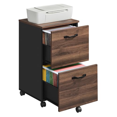 VASAGLE 2-Drawer File Cabinet, Small Rolling Filing Cabinet
