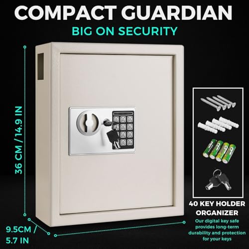 Flexzion Key Box Wall Mount with Code, Key Cabinet, Key Deposit Slot, 40 Key Holder Organizer Locker Case, Colored Key Tags Wall Mounted Lock Box for Keys Storage (Gray)