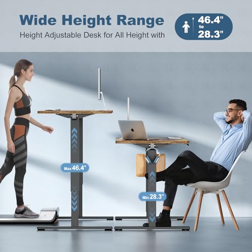 DUMOS 48 Inch Electric Standing Desk, Memory Adjustable Home Office Desk