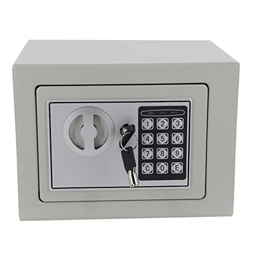 TBLOTYD Safes Safe Deposit Box Small Safe Key Wall Safe Bedside Cabinet with Lock Password Safe 17X23X17Cm