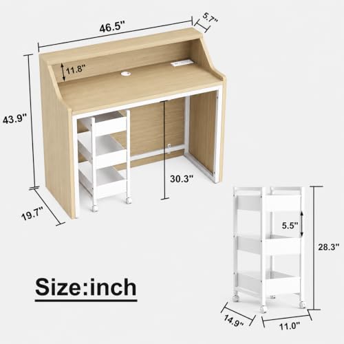 Reception Desk with Counter and Storage Cabinet for Salon Station (White)