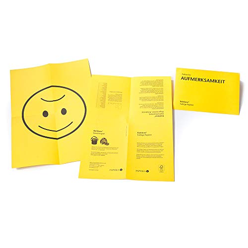 Schneidersöhne 88042387, Multi-Purpose Paper Rainbow, Coloured Paper, A4, 80 g/m2, 500 Sheets, Intensive Yellow
