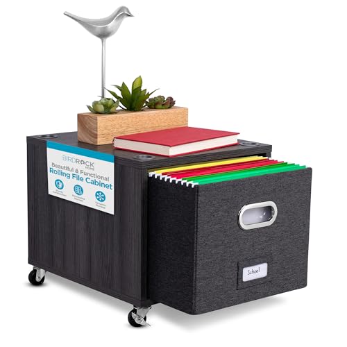 BIRDROCK HOME Rolling File Cabinet – Decorative Storage Shelf w/Removable Bins, Handles, and Wheels – Organize Files, Books, Toys, Under Desk Office Solution, Modern Design - 1 Lateral Drawer, Gray