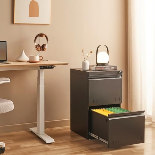 Approgreent 2 Drawer File Cabinets for Home Office, Vertical File Cabinet with Lock, Office Cabinet for A4/Letter/Legal Size, Under Desk Filing Cabinet, Assembly Required(Black)
