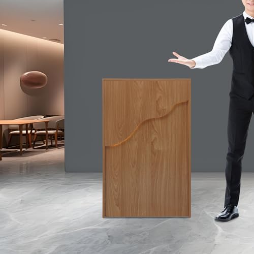 BalySam Reception Desk with Illuminated Strip and Storage Drawer for Retail Boutique