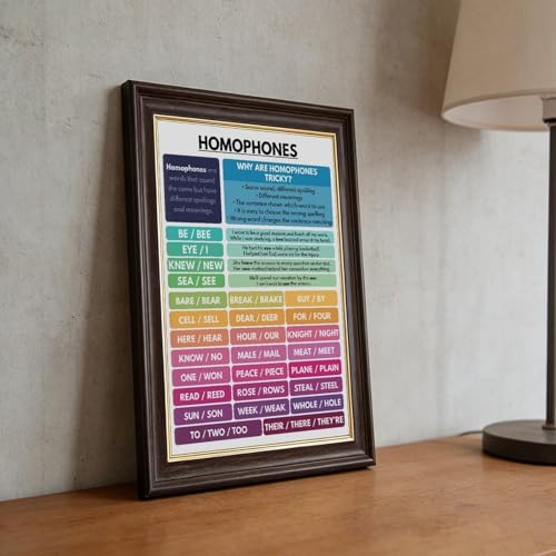 HOMOPHONES POSTER English Language Grammar Chart Correct Spelling Homeschool Classroom Resource Educational Poster 3 Canvas for Elementary Middle School Classroom Education Hanging Frame 24"L X 36"W