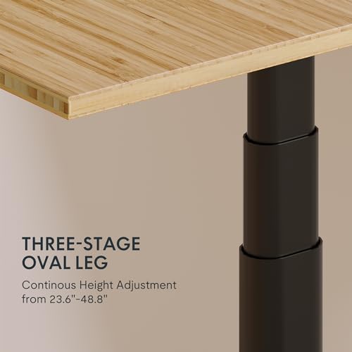 FLEXISPOT E6 Pro Organic Modern Bamboo Standing Desk, Electric Dual Motor 3-Stage Height Adjustable Desk with Oval Legs, Heavy Duty 330lbs, 55" x 28" Bamboo Desktop, Black Frame
