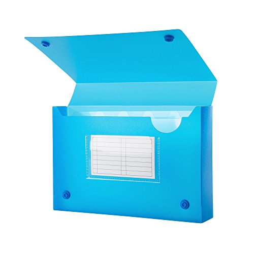Filexec Products Universal Index Card Case, 5.5"x8.25"x1.5", 5-Removable Index Tabs, 1-Index Card Pocket, Frosted, Assorted Pack of 36 (50652-2091)