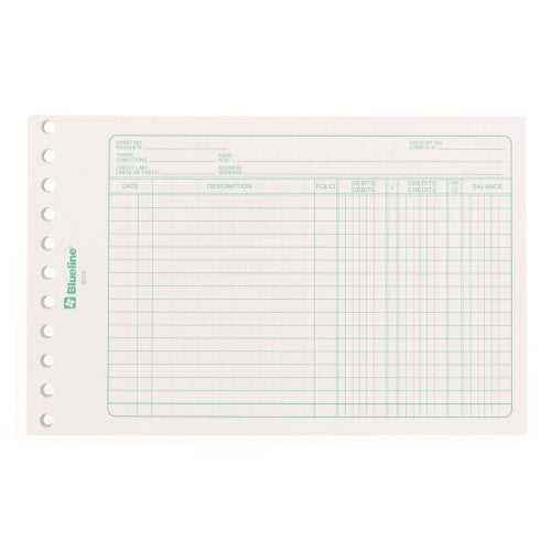 Blueline Mini-Ledger Sheets BS55