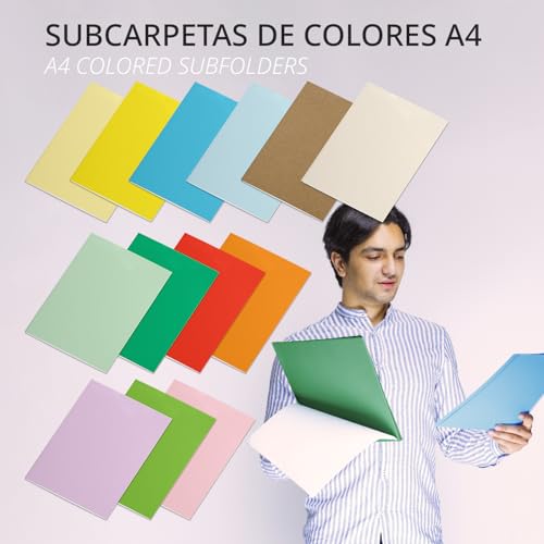 A4 Cardboard Subfolders, Paper Filing Folders 180 g, File Folder for Documents, Pack of 50 Coloured Office Subfolders for Filing and Sorting Papers – Ofituria (Red)