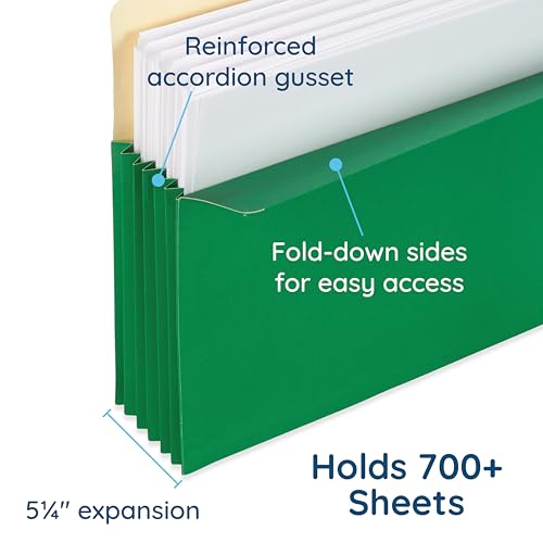 Blue Summit Supplies 10 Expanding File Pockets, Letter, 5.25", Assorted
