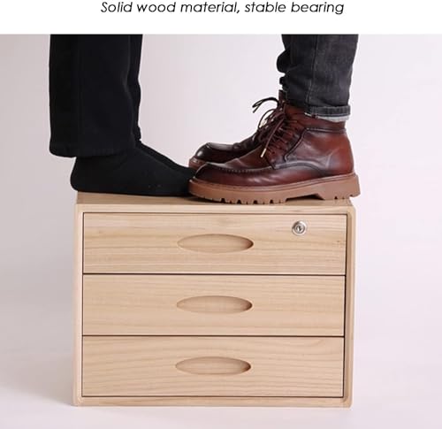 noxozoqm Multi-Layer Drawer Storage Box, Flat File Cabinet With Lockable, 1/2/3 Drawer Solid Wood A4 Treatment Storage Cabinet For Home Desktop Office(A,2 drawer)