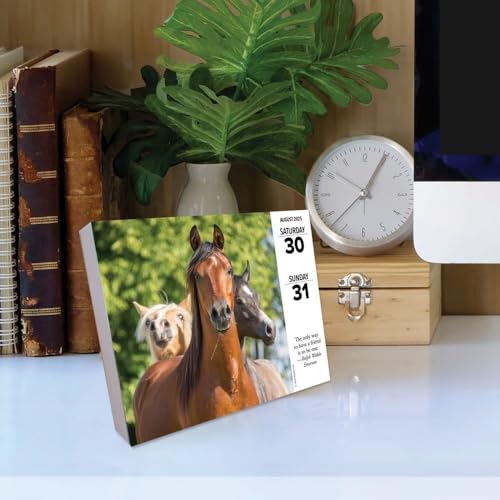 Willow Creek Press Calendars, What Horses Teach Us 2025 Desk Calendar