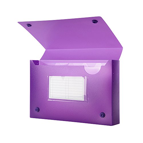 Filexec Products Universal Index Card Case, 5.5"x8.25"x1.5", 5-Removable Index Tabs, 1-Index Card Pocket, Frosted, Assorted Pack of 36 (50652-2091)