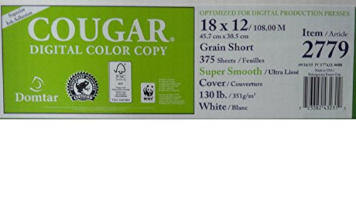 Extra Heavy-duty Cardstock, 130 lb Cover (351 GSM), 18x12 Inch, White Super Smooth, 375 Sheets/pack