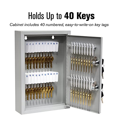 BankSupplies Fort Knox 40 Key Cabinet - Dual Lock Control Key Box - Welded 22 Gauge Steel Construction - Scratch Resistant - Write-On Key Tags for Easy Identification