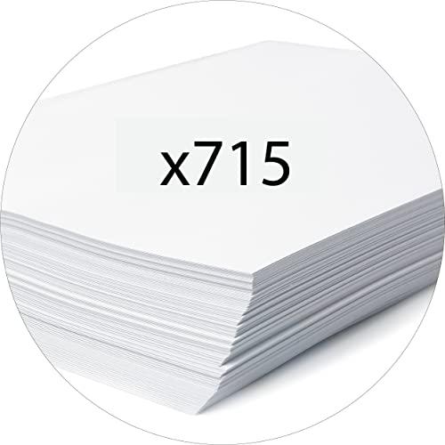 Exacompta Forever Prem'Touch Lever Arch File, A4, 80 mm Spine, 2 Rings - Assorted Colours, Pack of 10
