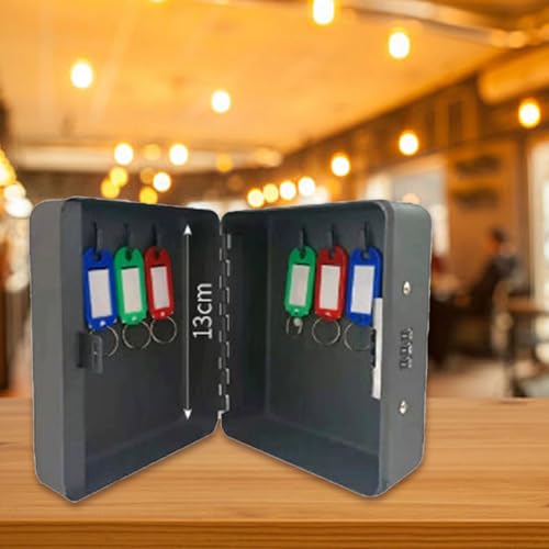WOZUN Wall Mount Holder with Password Security Locking Weatherproof Sturdy Storage for House Apartment Home Organizers