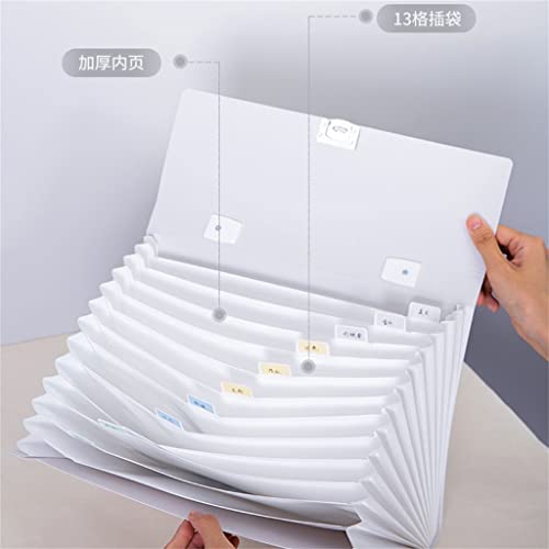 58GXCAAMOT Folder A4 Paper Folder 13 Grid Information Book School Office Business Storage Folder Transparent (Color : A Size