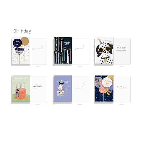 American Greetings 65-Count All-Occasion Card Pack, Assorted Celebration Designs