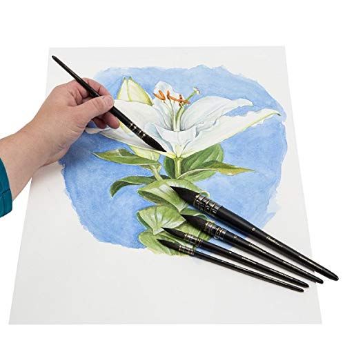 Creative Mark Danube Professional Watercolor Quill Brushes Size #10 - Kazan Squirrel and Synthetic Hair Watercolor Brushes for Painting