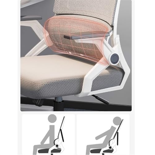 Ergonomic Office Chair Desk Chair with Lumbar Support, Headrest and Armrest Office Chair ﻿(Black)