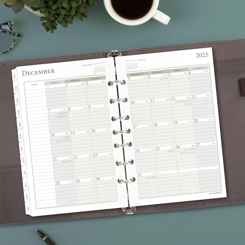 AT-A-GLANCE 2025 Planner, Daily, 5-1/2" x 8-1/2", Desk Size, One Page Per Day Refill, Loose-Leaf (481-125-25)