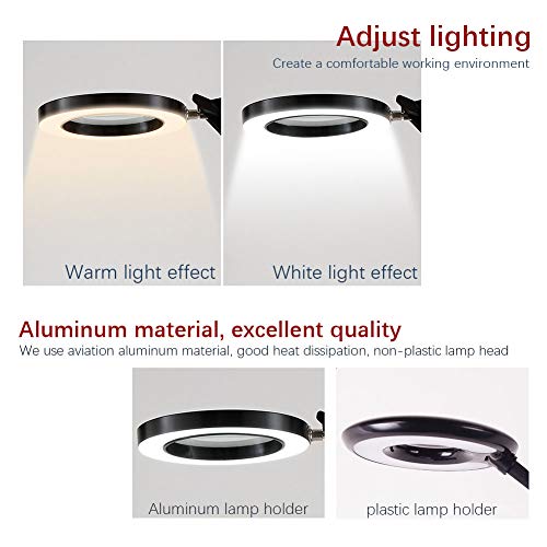 8X LED Magnifier Clip Floor Standing Lamp,360°Swivel Base Adjustable Arm Stable Basereading Magnifying Glass- for Beauty, Salon, Tattoo, Nail, Dental, Reading and Skincare