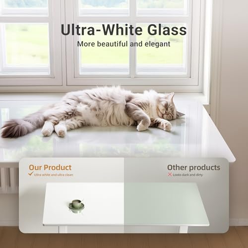 Claiks Glass Standing Desk 48x24 Inch Super White