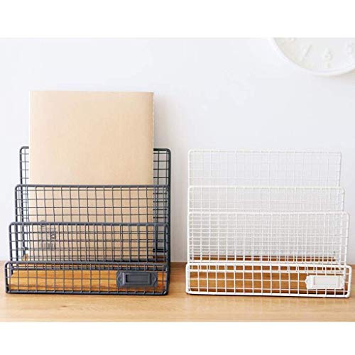 AFPSDLFJDLS Document Organizer - Decorative Metal Farmhouse Magazine Holder and Organizer Bin - Standing Rack for Magazines, Books, Newspapers,(D)