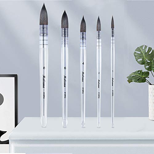 Hosmide 5 Size Watercolor Round Paintbrushes with Bag,Acrylic Handle,Squirrel Hair Paint Brush Set for Art Painting, Gouache, Wash/Mop, Artist Quality Supplies